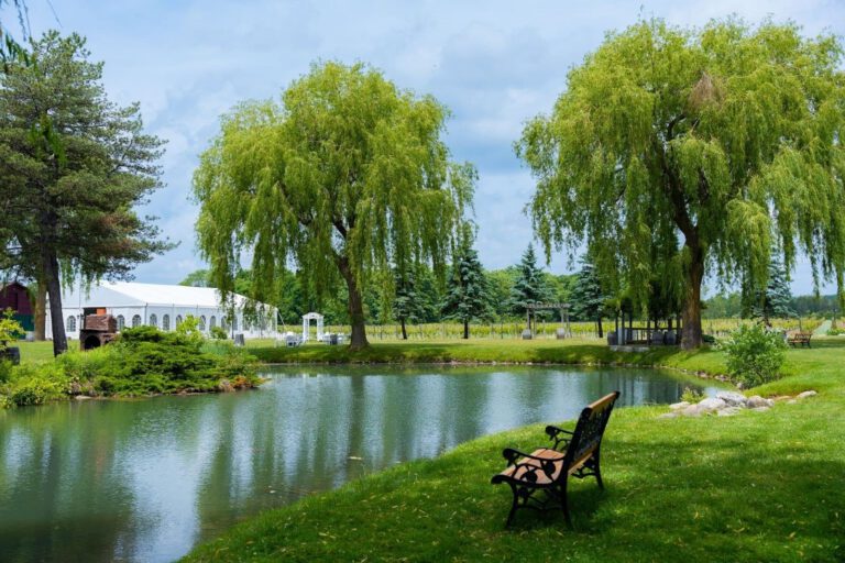 48 Hours in Markham: Summer Staycation